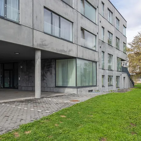 Bronze Colour In Centre *