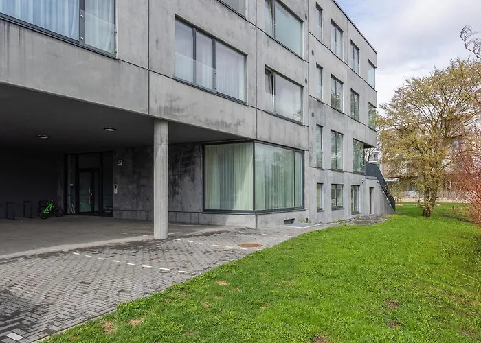 Bronze Colour In Centre *